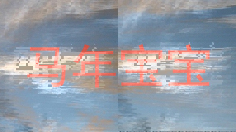 马年宝宝