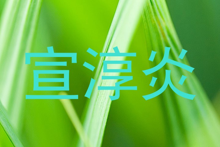 宣淳炎