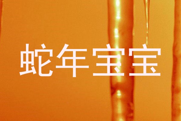 蛇年宝宝
