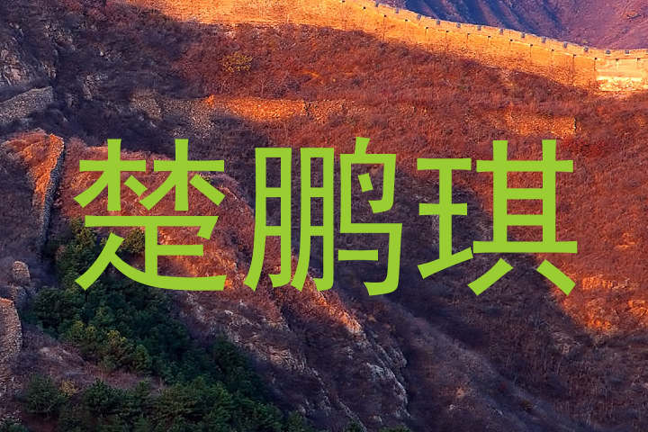 楚鹏琪