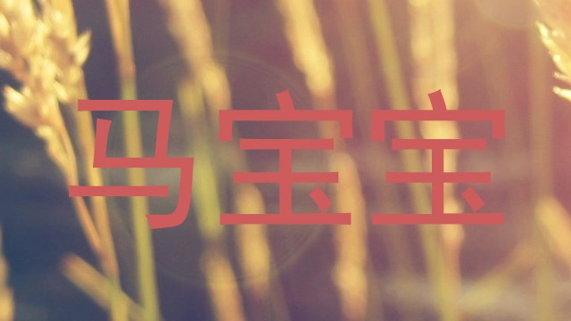 马宝宝