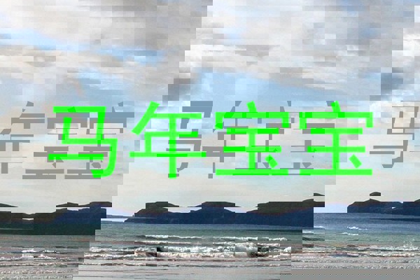 马年宝宝