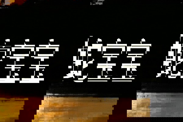 蛇宝宝