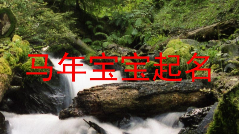 马年宝宝起名