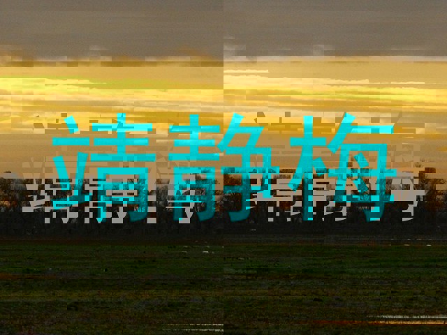 靖静梅