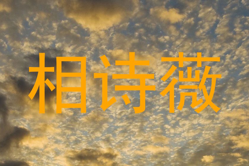 相诗薇