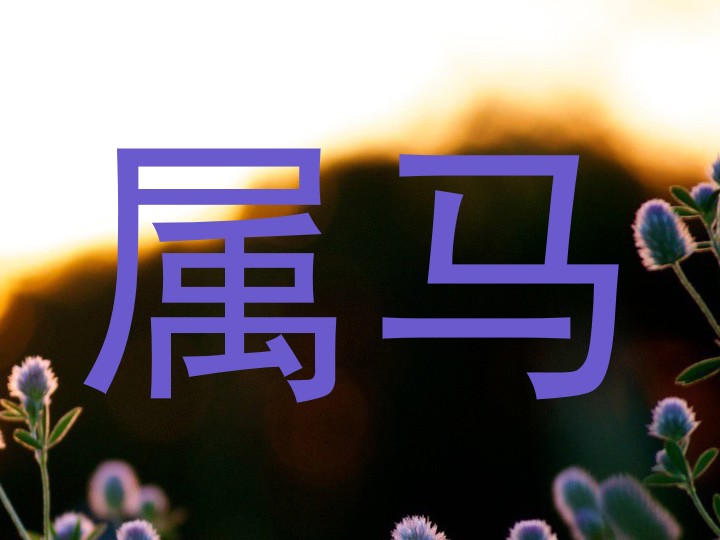 属马