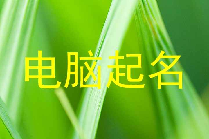 电脑起名