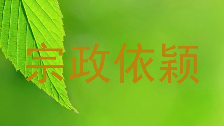 宗政依颖