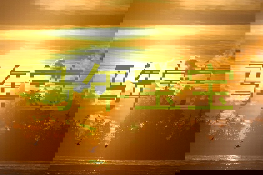 马年宝宝