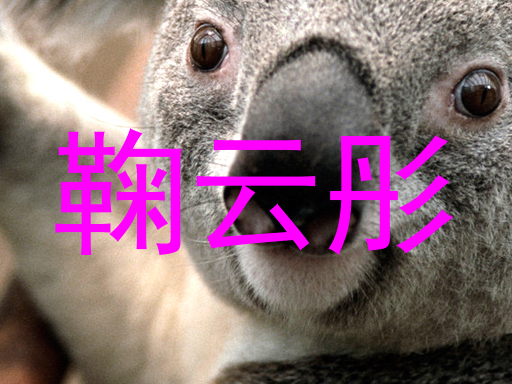 鞠云彤