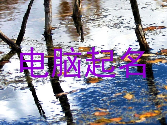 电脑起名