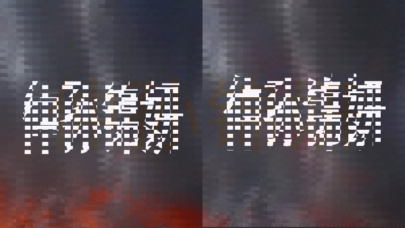 仲孙锦妍