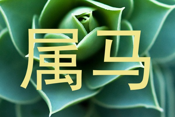 属马