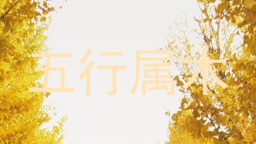 五行属木