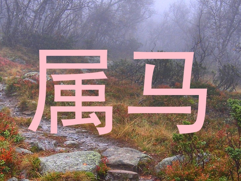 属马
