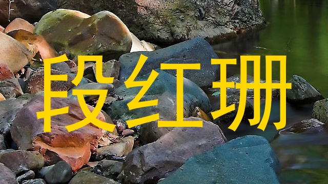 段红珊