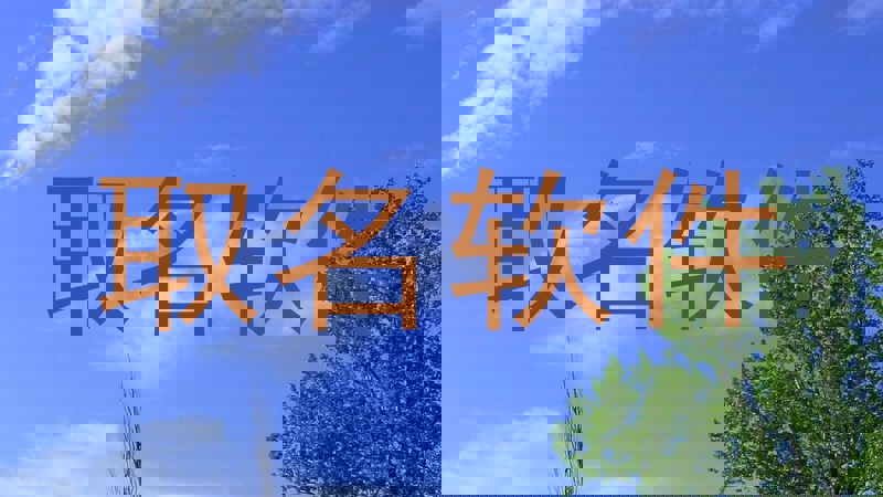 取名软件