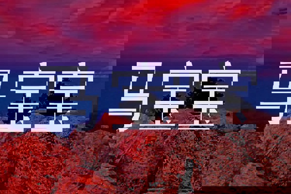 马宝宝
