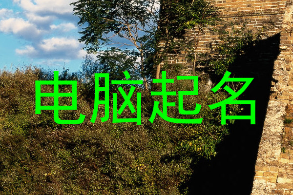 电脑起名