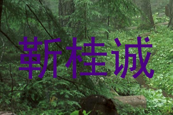 靳桂诚