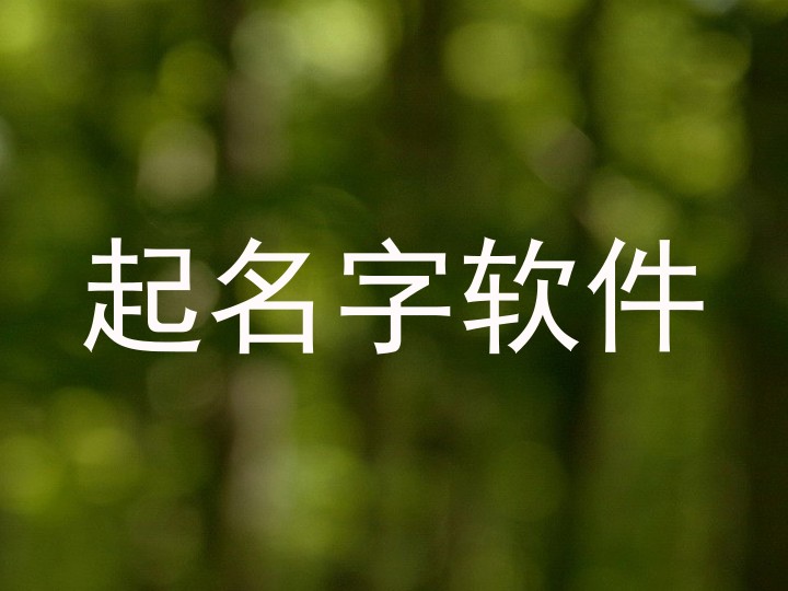 起名字软件