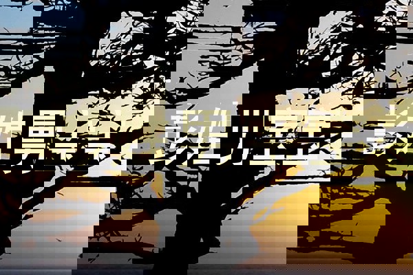 彭姓男宝宝