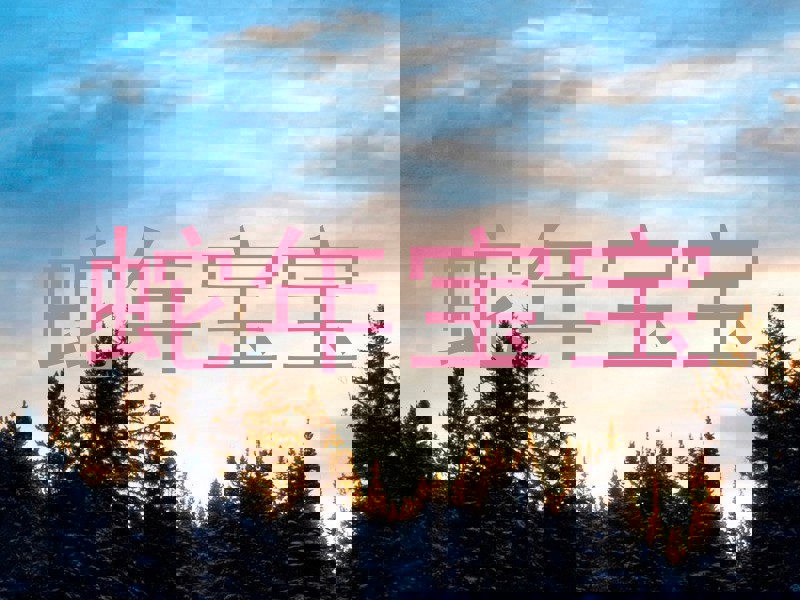 蛇年宝宝