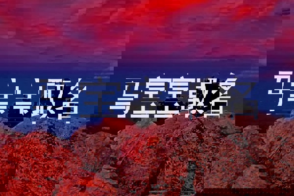 马宝宝取名