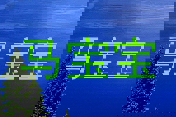 马宝宝