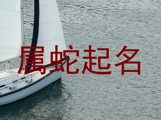 属蛇起名