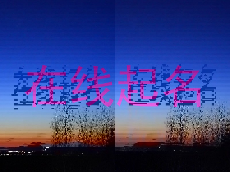 在线起名