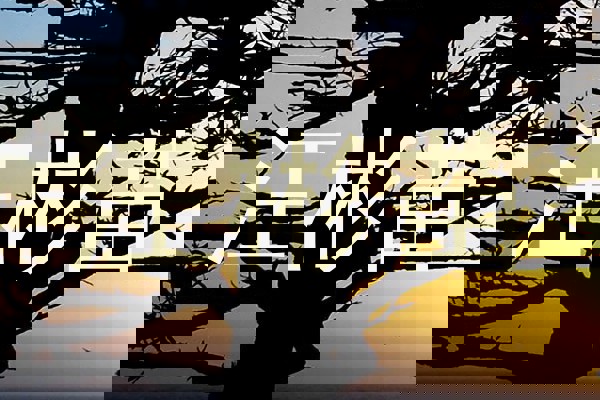 汪彬苗