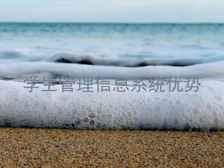 学生管理信息系统优势