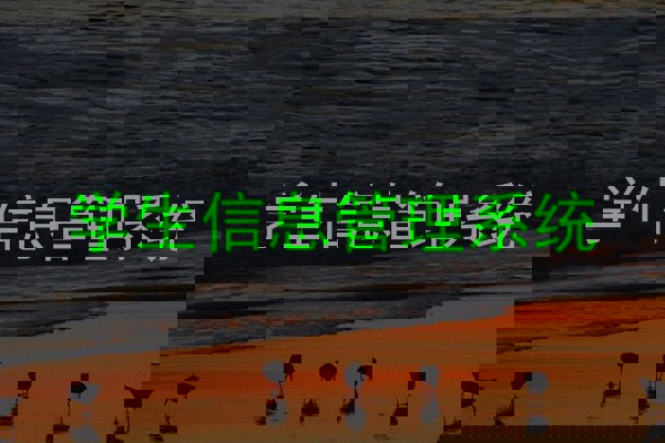 学生信息管理系统