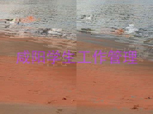 咸阳学生工作管理