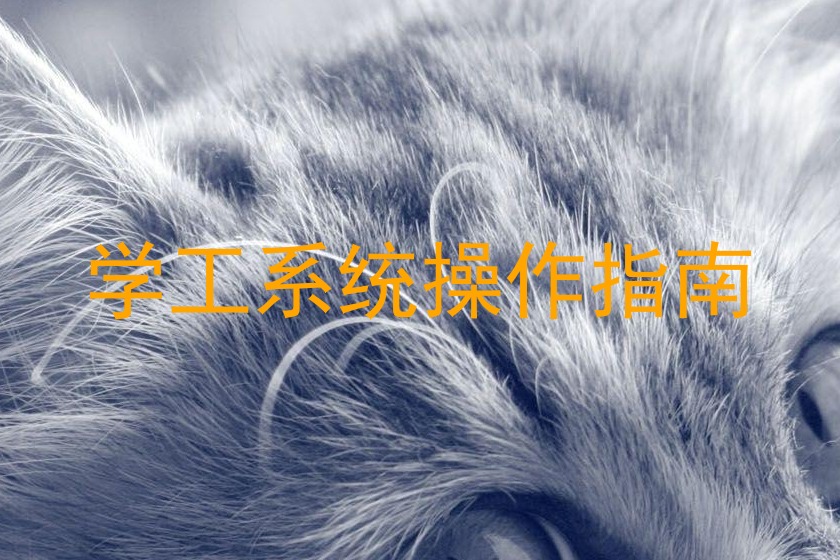 学工系统操作指南