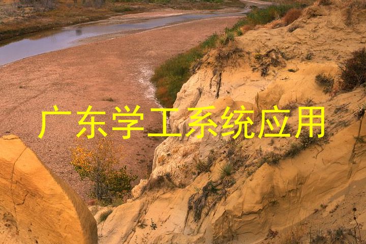 广东学工系统应用