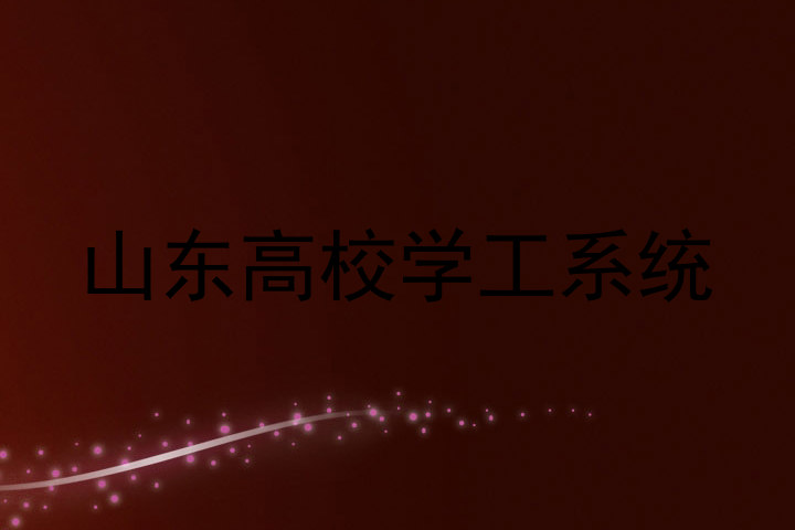 山东高校学工系统