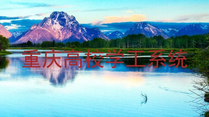 重庆高校学工系统