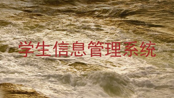 学生信息管理系统