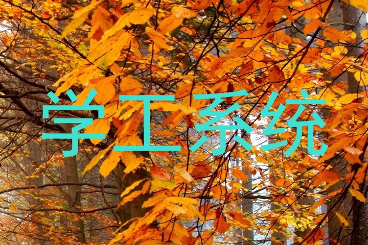 学工系统