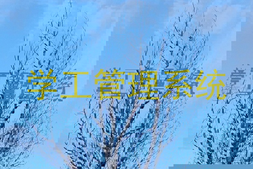 学工管理系统