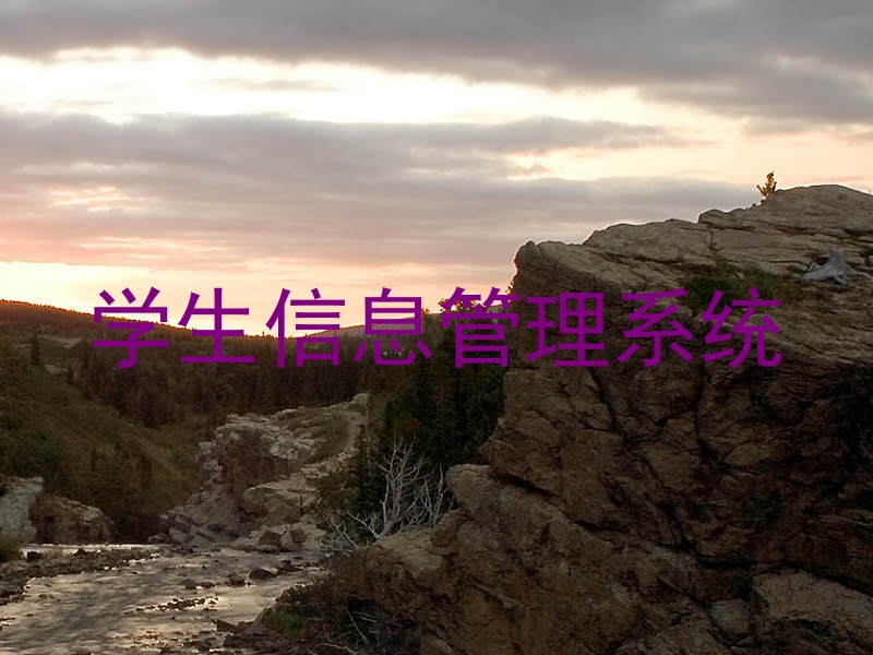 学生信息管理系统