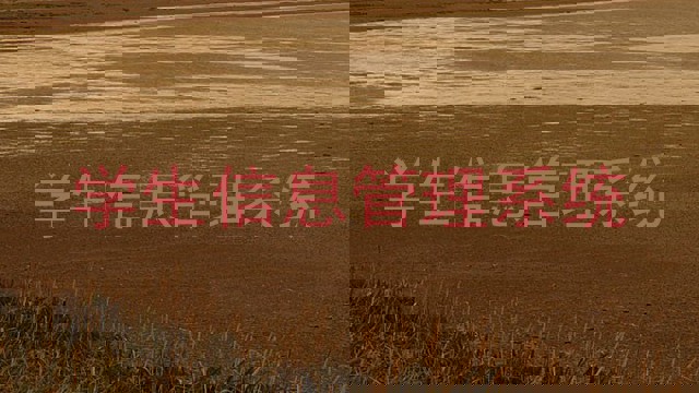 学生信息管理系统