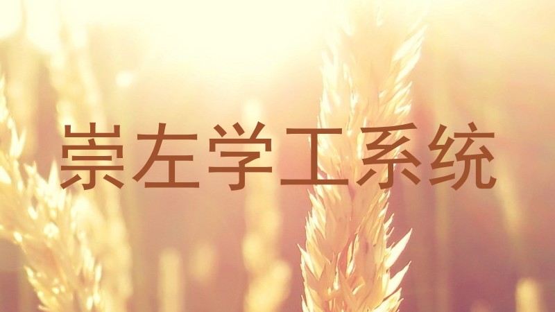 崇左学工系统