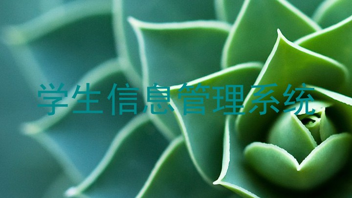 学生信息管理系统