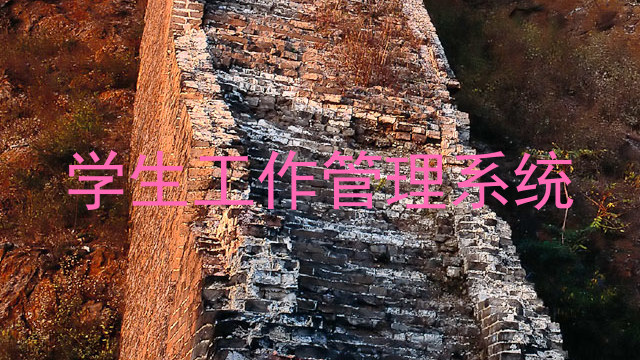 学生工作管理系统