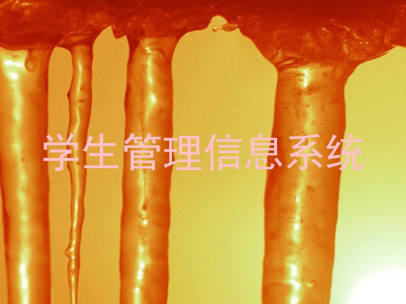 学生管理信息系统