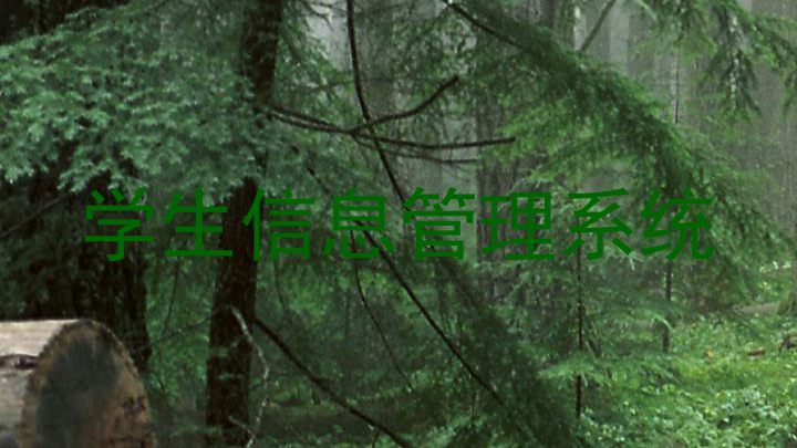 学生信息管理系统